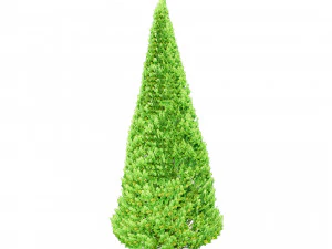 Suffruticosa Boxwood Collection for 3d Landscape 3D Model