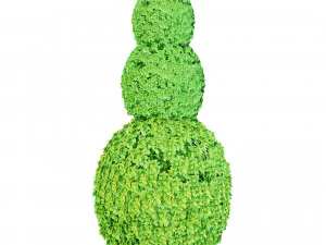 Suffruticosa Boxwood Collection for 3d Landscape 3D Model
