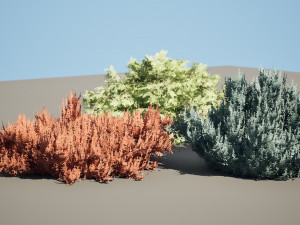 Juniperus horizontalis Bar Harbor 3D Модель