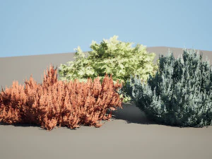 Juniperus horizontalis Bar Harbor 3D Model