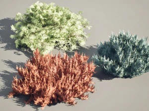 Juniperus horizontalis Bar Harbor 3D Model