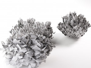 Juniperus horizontalis Bar Harbor 3D Модель