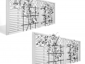Evergreen Dutchmans Pipe vine 3D Model