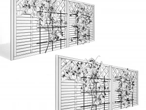 Evergreen Dutchmans Pipe vine 3D Model