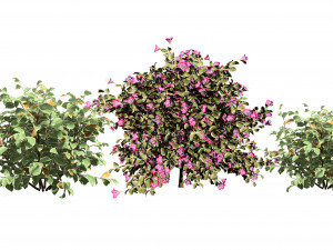 My Monet Weigela shrub 3D मॉडल
