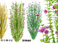 Purple Pillar Rose of Sharon shrub Model 3D