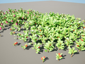 Evergreen Kinnikinnick Bearberry shrubs 3D Model