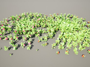 Evergreen Kinnikinnick Bearberry shrubs 3D Model