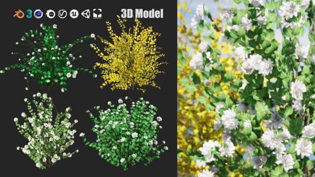 Double Snowflake Mock Orange flower 3d collection Model 3D .c4d .max .obj .3ds .fbx .stl .blend