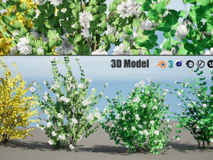 Double Snowflake Mock Orange flower 3d collection 3D Model