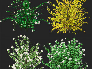 Double Snowflake Mock Orange flower 3d collection Model 3D