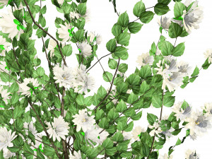 Double Snowflake Mock Orange flower 3d collection Model 3D