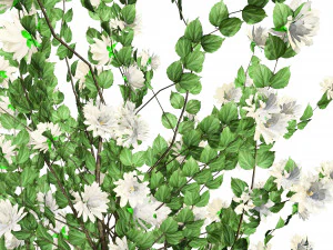 Double Snowflake Mock Orange flower 3d collection 3D Model