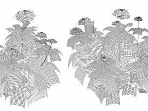 Karl Rosenfield Peony flowers 3D Model