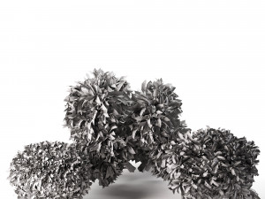 Golden Mop False Cypress bush 3D Модель