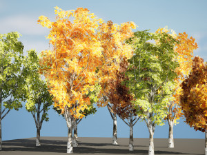 Game ready Grijze Lombardy Poplar trees 3Dモデル