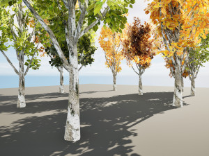 Game ready Grijze Lombardy Poplar trees 3Dモデル