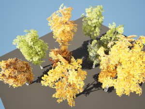 Game ready Grijze Lombardy Poplar trees 3Dモデル
