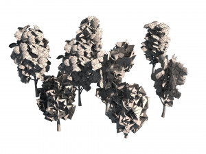 Game ready Grijze Lombardy Poplar trees 3Dモデル