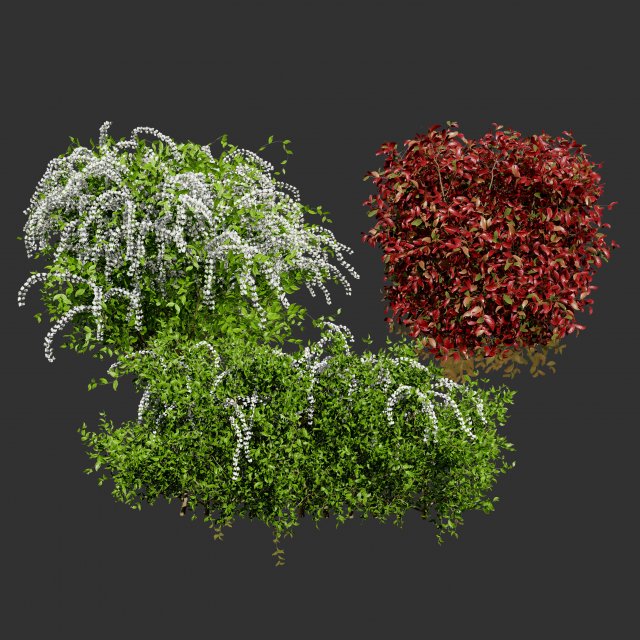 The Little Henry Virginia Sweetspire Bushes 3D Модель .c4d .max .obj .3ds .fbx .stl .blend