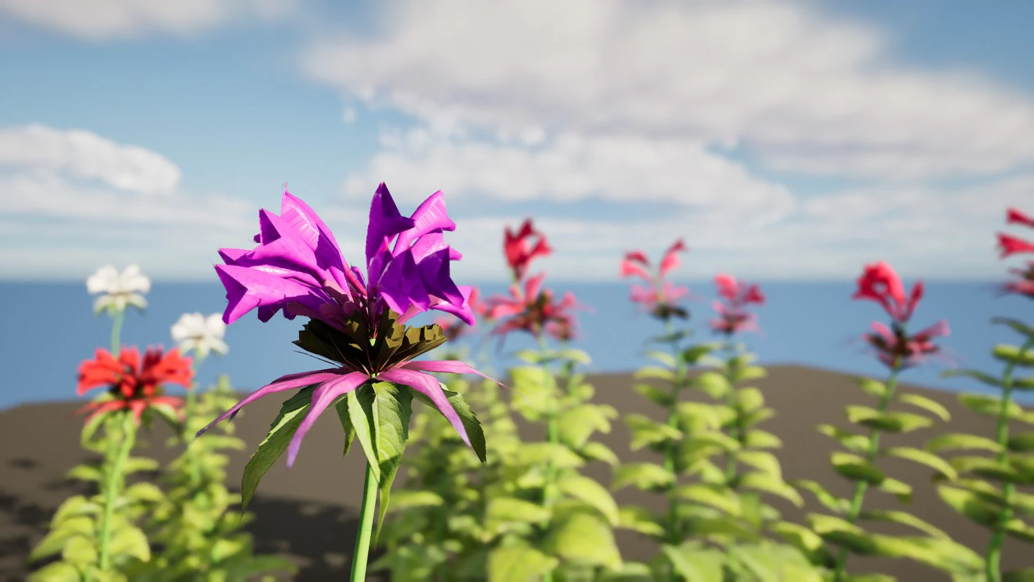 Bee Balm Flowers with free 3D Model .c4d .max .obj .3ds .fbx .stl .blend