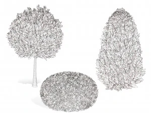 Hetz Midget Arborvitae topiaries 3D Model