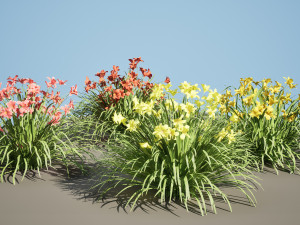 Happy Returns Daylily Color mix flowers Modelo 3D