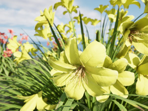 Happy Returns Daylily Color mix flowers Modelo 3D