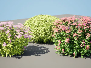 Creeping phlox flowers with free 3D Model