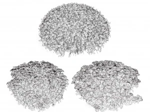Creeping phlox flowers with free 3D Model