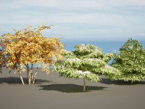 3 season Green Osier Shrub Modelo 3D