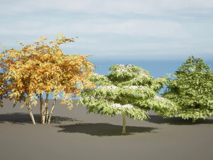 3 season Green Osier Shrub 3D Model