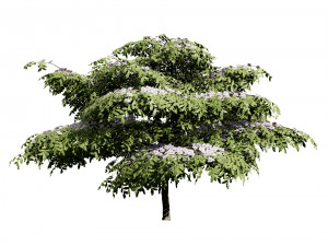3 season Green Osier Shrub Modelo 3D