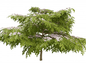 3 season Green Osier Shrub Modelo 3D