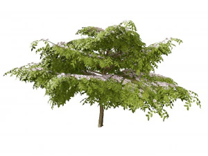 3 season Green Osier Shrub 3D Model