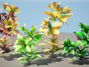 Croton Plant with 4 variation Tutorial 3D Model