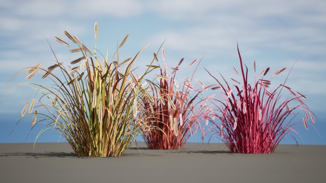 Purple Fountain Grass Modelo 3D .c4d .max .obj .3ds .fbx .stl .blend 