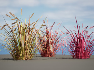 Purple Fountain Grass 3D Model