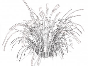 Purple Fountain Grass Modelo 3D