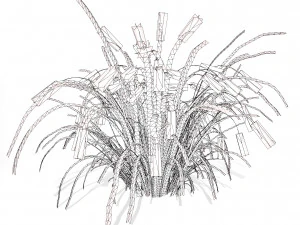 Purple Fountain Grass 3D Model