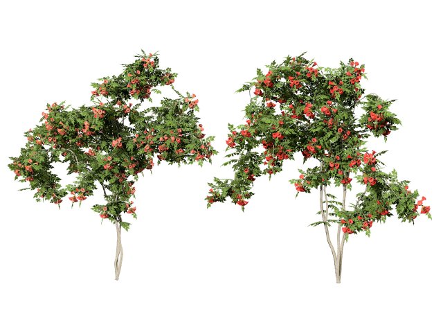 Classic Flamenco Campsis Radicans Vine s 3D Модель .c4d .max .obj .3ds .fbx .stl .blend 