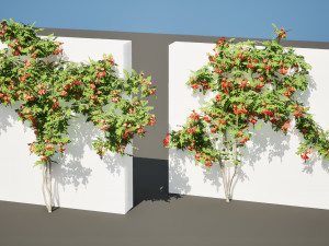 Classic Flamenco Campsis Radicans Vine s 3D Модель