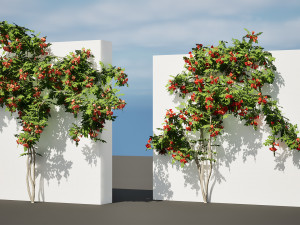 Classic Flamenco Campsis Radicans Vine s 3D Модель