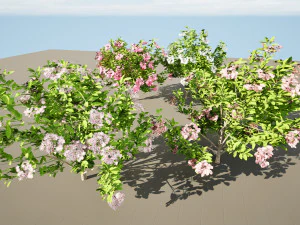 Kalmia Latifolia Flowering Bush 3D Model