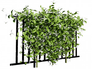 Lush Honeysuckle Garden 3D Модель