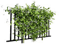 Lush Honeysuckle Garden 3D मॉडल