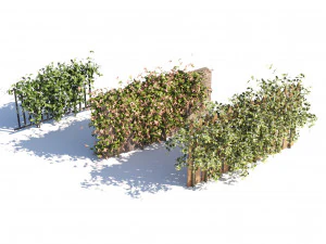 Lush Honeysuckle Garden 3D Model