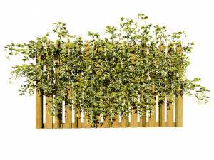 Lush Honeysuckle Garden Model 3D