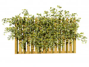 Lush Honeysuckle Garden 3D Model