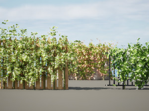 Lush Honeysuckle Garden Model 3D